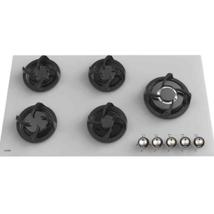 g509